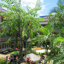 木々が生い茂る中庭のカフェ