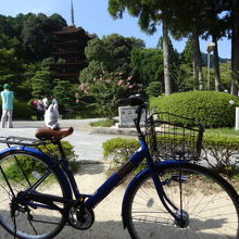 自転車はサンルート山口の貸し出し自転車