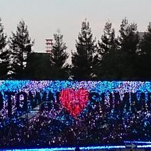 夏のイベント　花火のＬＥＤ