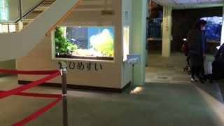 姫路市立水族館