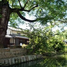 木々が生い茂っています