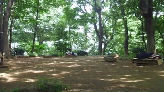 上野にも古墳があった