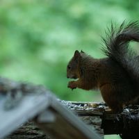 かなり近くで見られます。