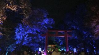 面白いイベント