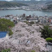 春は桜もきれいです