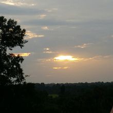 曇りのため、今一つ