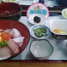 養殖のカンパチ By Ilovem 味処 海の桜勘のクチコミ フォートラベル