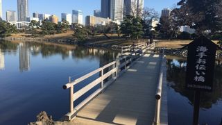 海際のお伝い橋