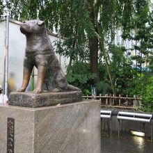 けっこう小さい