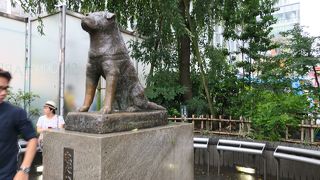 ひじょうに有名な犬の像