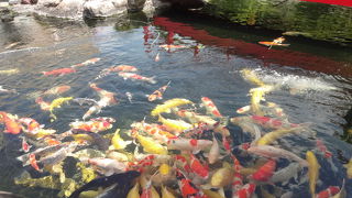 いい休憩場所。試食がもりもりありました。