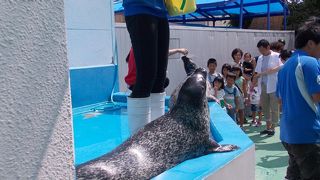 手作り感がいい！穴場のお手軽水族館