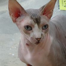 この子に逢いにきた