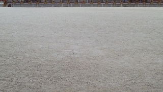 色合いの美しさが際立っています