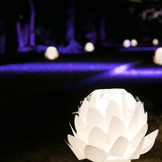 【極楽寺】蓮の花の形をあしらったLED照明