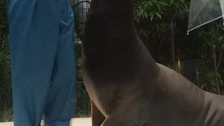 アクアパーク品川