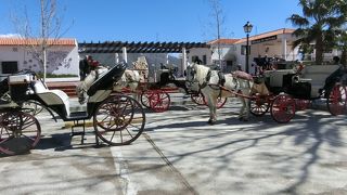 観光バスを降りてからではここから観光開始です