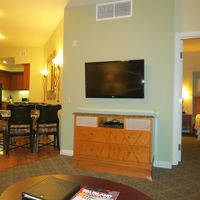 リビングからの眺め