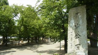 夏場は木陰で休憩