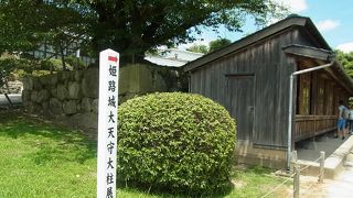 総長２４．７ｍの大柱