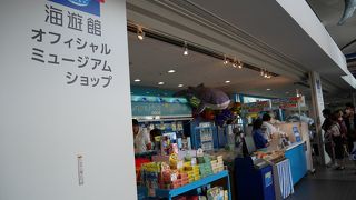 此処にしか無い海遊館関連グッスの専門店