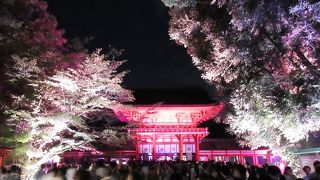 ２０１６年の夏、色鮮やかに輝きます