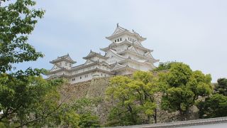 国宝で世界文化遺産でもある白鷺城は、その愛称にたがわず本当に美しいお城です。