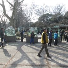 上海動物園