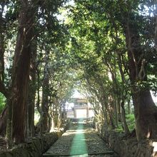 参道の景色は美しい