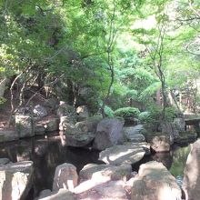 静かな庭を散策