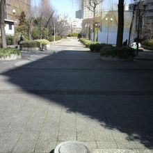 築地川公園の中央の道路です。長く、かつ途中で屈曲しています。