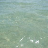 透明度抜群の海