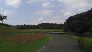 広々とした公園に対して来園者が少なくゆったりとできる