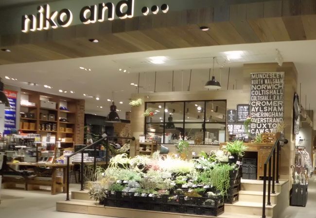 ニコ アンド イオンモール岡山店 クチコミ アクセス 営業時間 岡山市 フォートラベル