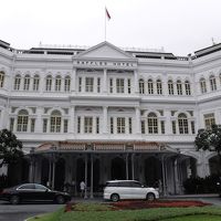 やはり存在感が違いますよね