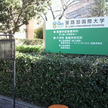 聖路加国際大学の西側にある芥川龍之介生誕の地の標識です。