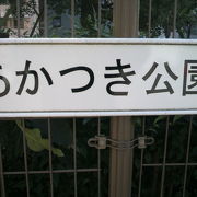 あかつき公園は、築地の居留地の横の築地川を埋め立てて、造られた公園です。