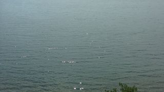 浜名湖につながってます