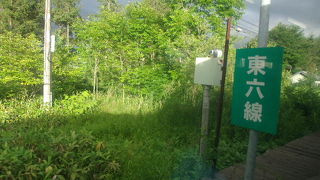 意外と便利で楽しい宗谷本線南部の途中下車旅