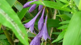 かなりの種類があります！