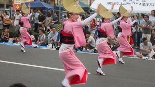 南越谷阿波踊り