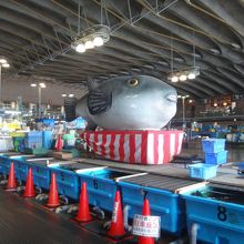 でっかいフグが