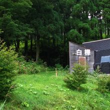 バンガロー「白樺」