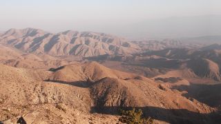 園内をドライブ