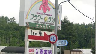 やはりラベンダー見るならファーム富田などの方がいいと思う