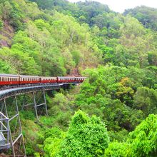 シャッターチャンス！