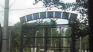 受け売りですが