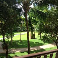 ガーデンビュー