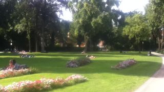 芝生や湖がある公園