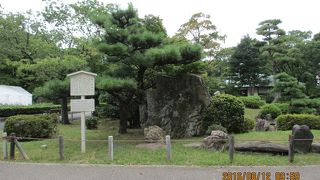 街中でも緑がいっぱい